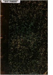 Capa de Historia da Guerra Civil e do estabelecimento do governo parlamentar em Portugal v 19