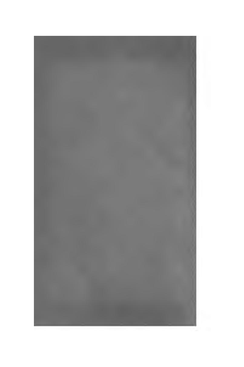 Capa de A Ultima dona de S. Nicolau (espisodio da historia do Porto no seculo XV)