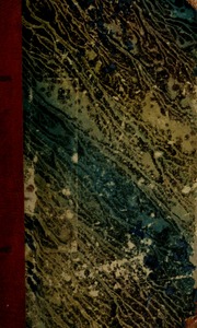Capa de A salamandra : romance maritimo