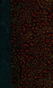 Capa de Raios de extincta luz : poesias ineditas (1859-1863), com outras pela primeira vez colligidas